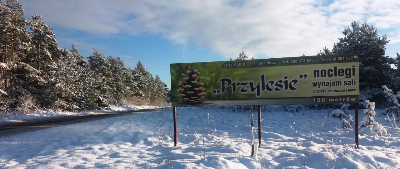 Pokoje Goscinne Przylesie Łobez Exterior foto